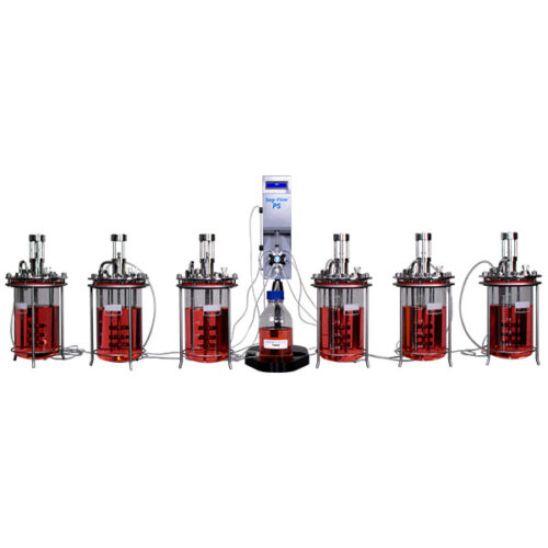 Bioprocess Feeding Control